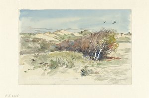 Sanddynelandskap mellom Bloemendaal og IJmuiden