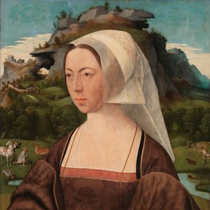 Portrett av en ukjent kvinne Portrett av en kvinne av Jan Jansz Mostaert