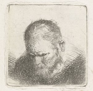 mann med skjegg av Jan Lievens (possibly)