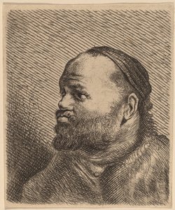 Byste av en mann med tykke lepper av Jan Lievens
