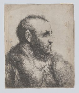  av Jan Lievens