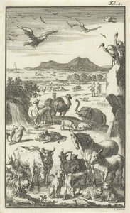 Skapningen av Jan Luyken