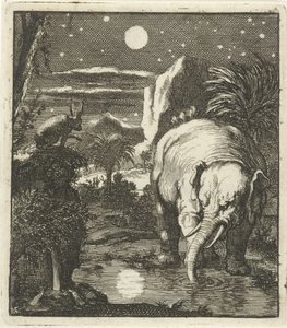 Hare og elefant med fullmåne ved en vannkilde av Jan Luyken
