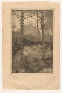skogkanten av Jan Mankes