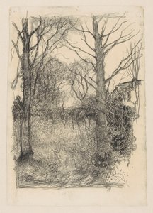 skogkanten av Jan Mankes
