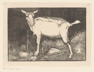 hvit geit av Jan Mankes