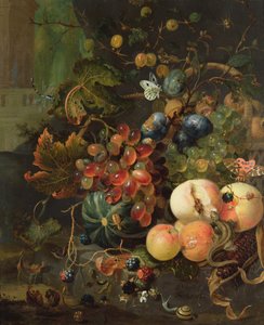 Stilleben av frukt og insekter