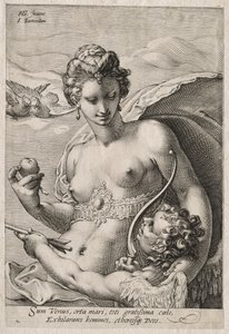Venus og Amor av Jan Saenredam