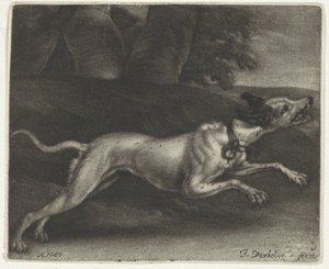 løpende hund av Jan Verkolje (I)