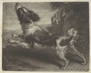 Løpende hund, muligens en spaniel