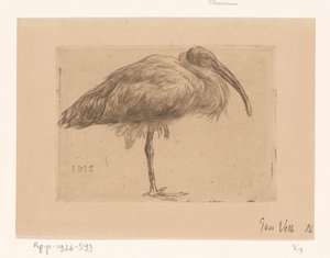 Ibis (original tittel på objekt)