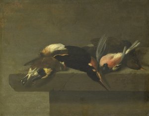 Døde fugler av Jan Vonck