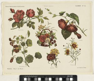 Blomster (tittel på objekt) Nye nederlandske barnetrykk (serietittel på objekt) Funkes trykk (serietittel på objekt)