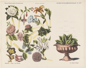 Hvordan lage en blomsterbukett / (1) (tittel på objekt) Nye nederlandske barnetrykk (serietittel på objekt) Funkes trykk (serietittel på objekt)