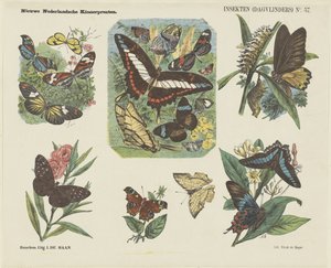 Insekter (sommerfugler) (tittel på objekt) Nye nederlandske barnetrykk (serietittel på objekt)