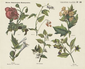 Giftige planter (tittel på objekt) Nye nederlandske barnetrykk (serietittel på objekt)