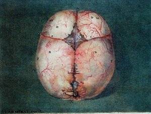 The Brain, fra 