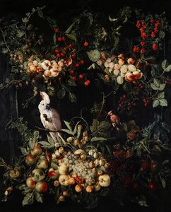 Bytter av frukt med blomster rundt en kartusj med en svovelkakadue (olje på lerret) av Jan van (attr. to) Kessel