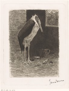 Marabou av Jan van Essen (signed by artist)
