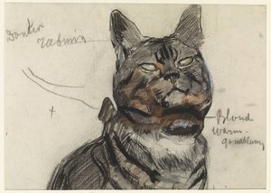 Katt, med fargenotater