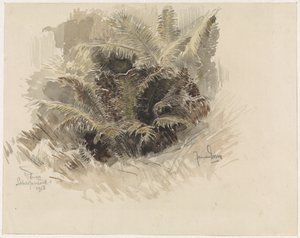 Kongens bregne i en hage i Scherpenzeel av Jan van Essen