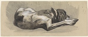 Sovende hund, til høyre av Jan van Essen