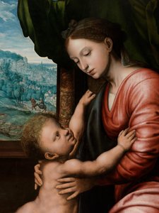 Detalj av jomfru med barn (olje på panel) av Jan van Hemessen