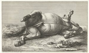 Død hest liggende på venstre side Dead Horses (serietittel)