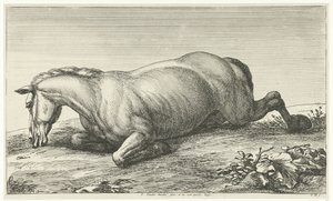 Fallen Horse liggende på magen Fallen Horses (serietittel)