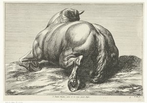 Falt hest på magen sett bakfra Dead Horses (serietittel)