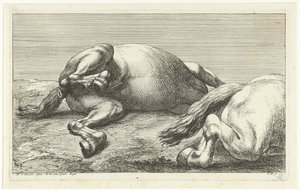 To falne hester, den høyre sett fra siden Dead Horses (serietittel) av Jan van Huchtenburg