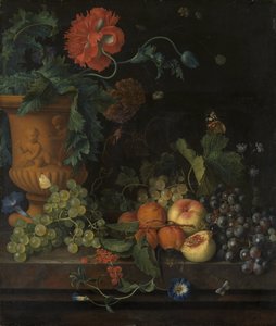 Terracotta vase med blomster og frukt av Jan van Huysum