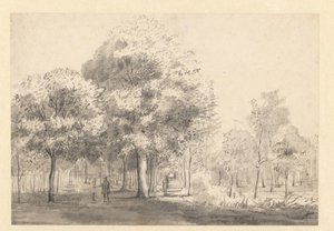 Utsikt over Haarlemmerhout, Haarlem av Jan van Kessel (attributed to)