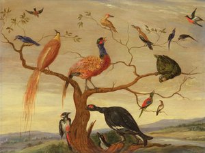 A Concert of Birds (olje på kobberpanel) av Jan van Kessel the Elder