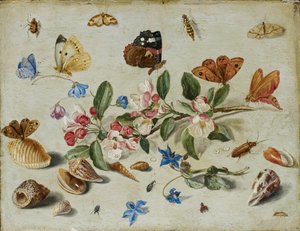 Blomster og insekter, slutten av 1650-tallet eller begynnelsen av 1660-tallet