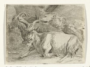 To geiter og to sauer av Jan van Ossenbeeck