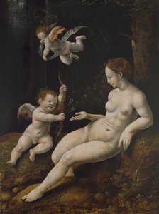 Venus og to amoriner, ca. 1528 (olje på panel)