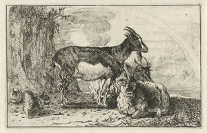 geiter Dyr (serietittel) Zoography (serietittel)