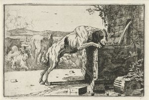 Hund ved en fontene Dyr (serietittel) Zoography (serietittel)