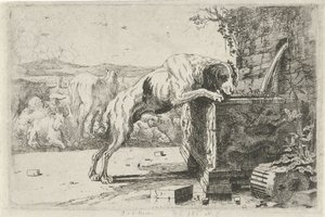 Hund ved en fontene Dyr (serietittel) Zoographiam (serietittel)