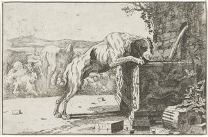 Hund ved en fontene Dyr (serietittel) Zoography (serietittel)