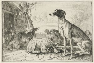 Kennel Dyr (serietittel) Zoography (serietittel)