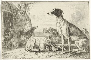 Kennel Dyr (serietittel) Zoography (serietittel)