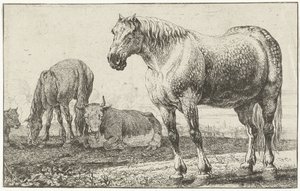 Hester og kyr Dyr (serietittel) Zoographiam (serietittel)