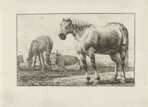 Hester og kyr Dyr (serietittel) Zoography (serietittel)