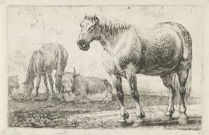 Hester og kyr Dyr (serietittel) Zoography (serietittel)
