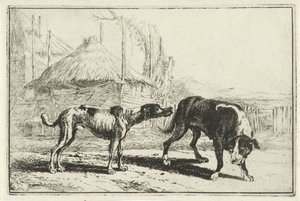 Mann og kvinne Dyr (serietittel) Zoography (serietittel)