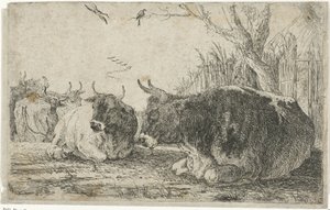 hvilende kyr Dyr (serietittel) Zoography (serietittel)