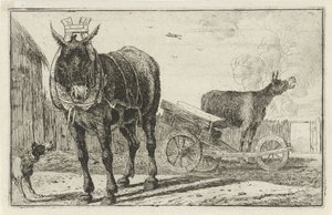 To esler Dyr (serietittel) Zoography (serietittel)