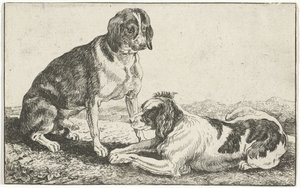 To hvilende hunder Dyr (serietittel) Zoography (serietittel)
